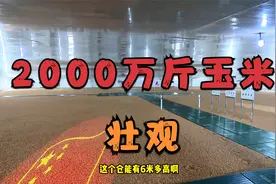 2000万斤玉米堆放在一起超壮观！营口市鲅鱼圈区中储粮营口直属库视频封面