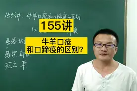 155讲：牛羊口疮和口蹄疫的区别？视频封面