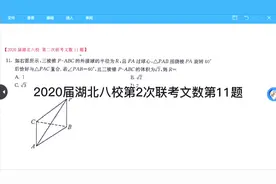 2020届湖北八校第2次联考文数第11题视频封面
