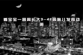 看宝宝一周周长大3-42周胎儿发育动画【转载】视频封面