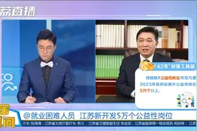 江苏开发公益性岗位促进群众就业|黄金时间视频封面
