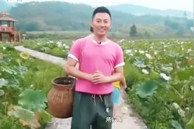 石城素有中国白莲之乡美称，莲子色白个大，记者观赏后亲自去采莲视频封面