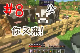 我的世界：剑客的田园生活，好小气的牛，喝了桶牛奶就生气了