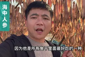渔民叫它海中人参，冬天才游回近海产卵，小伙为啥把它晒成了鱼干视频封面