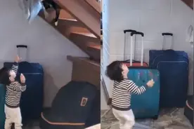 萌娃给猫咪扔毛巾，猫猫竟然用手接住，网友：无障碍沟通，真好视频封面