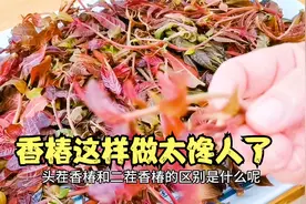 吃了40多年的香椿，就服这种做法，味道鲜美酥脆，做一大盘不够吃视频封面