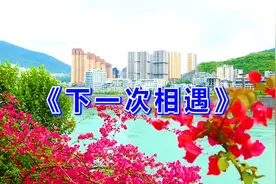 2022年这首情歌火了！《下一次相遇》深情感人，期待与你再次相遇视频封面