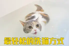 小母猫能自己洗澡，太轻松了！视频封面