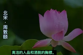 爱莲说 周敦颐 北宋 爱莲说 赏析和朗读 古诗词鉴赏和品读视频封面