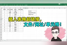 Excel技巧：在表格中插入超链接，你会么视频封面
