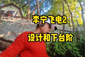 李宁飞电2 设计和下台阶视频封面