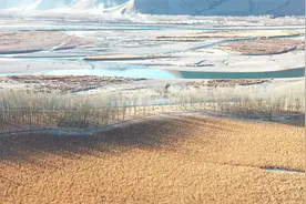冬日绝美的西藏视频封面