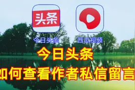今日头条如何查看作者私信留言，实用教程一看就会