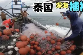 泰国深海捕捞船，下大型环网捕捞鲅鱼群，让大家见识了解一下视频封面