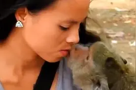 猴子迷上了大美女，居然主动索吻，美女竟然主动答应了！视频封面