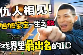 最出名的游戏ID，只要在旭旭宝宝面前提4个字，保证他暴跳如雷视频封面