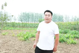 课件都是讲哪些内容？老张分享课件的进度及上架时间，大家记好了视频封面