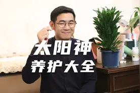 园艺师教你太阳神怎么养，这可能是关于太阳神，最全面的教程了视频封面