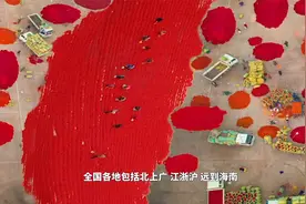 中国辣椒之都：河南最会卖辣椒的县城年销100亿视频封面