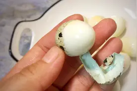 水煮蛋时，直接下锅就错了，学会这2招，连鹌鹑蛋都能自动脱壳