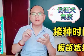 猪必须免疫的伪狂犬疫苗，打了疫苗还发病，该怎么做才能防的住？视频封面
