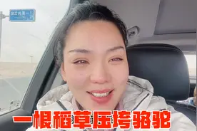 阿宁自驾从青海回新疆先遇特大沙尘暴，接着又出车祸，崩溃的大哭视频封面
