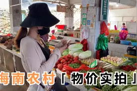 都说海南物价高，北方小伙海南农村实拍，鸡蛋这价格算不算贵？视频封面