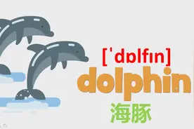 海豚用英语怎么说呢？视频封面