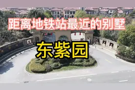 仙林湖地铁站往东3公里的别墅，是否值得入手？