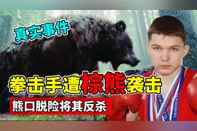 俄罗斯拳击手遭棕熊袭击，生死搏斗之后，竟将棕熊反杀！视频封面