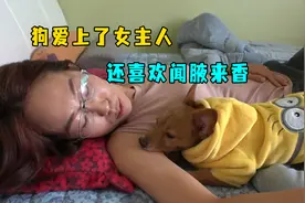 狗狗口味太重，不仅爱上了女主人，还喜欢舔咯吱窝视频封面