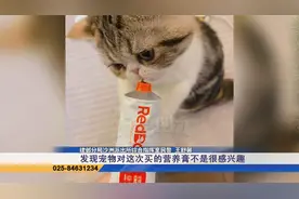 “超值”的名牌宠物营养品