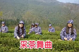 动态有声简谱《采茶舞曲》溪水清清溪水长，溪水两岸好风光视频封面