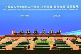 中国加入世贸组织：20年的发展历程视频封面