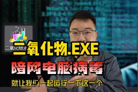 从暗网下载了一个“电脑病毒”！运行起来效果炸裂，不输彩虹猫