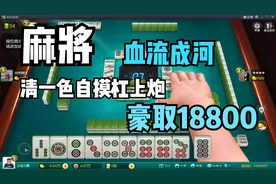 麻将血流成河，自摸清一色带根，杠上炮，豪取18800分数
