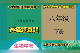 初中生物中考真题解析之八年级下册“基因控制生物的性状”（1）视频封面