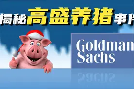 国际投行高盛养猪？暗度陈仓偷袭中国农业，不料却被散户打败？视频封面