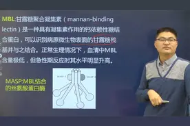 医学免疫学：补体系统-4补体活化的MBL途径