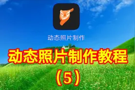 动态照片制作教程（5）让静止照片动起来简单易学视频封面