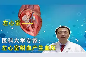 心脏解剖学：心脏左心室是心脏的中心，你的左心室长啥样？视频封面