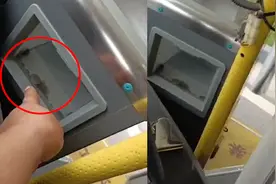 坐公交投游戏币被发现，大爷神回复：你大爷永远是你大爷！视频封面