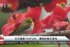 天天健康100FUN：清明砂锅艾香鸡视频封面