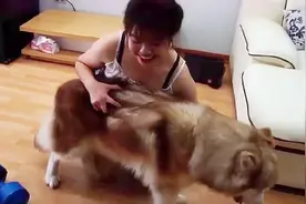 性感萝莉在家逗狗狗，狗狗很配合，太有爱了