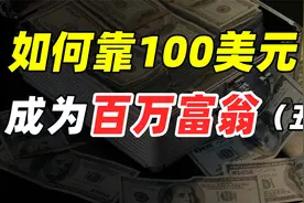 如何靠100美元在90天内成为百万富翁，亿万富豪隐姓埋名创业第5集视频封面
