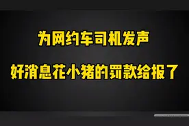 好消息！几经周折换个四种方法，花小猪的罚款总算是报销了视频封面