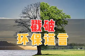 戳破环保谎言，不用一次性筷子，就是在保护森林？视频封面