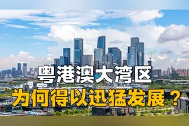 多国湾区经济支离破碎，粤港澳大湾区为何却能迅猛发展？视频封面