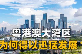 多国湾区经济支离破碎，粤港澳大湾区为何却能迅猛发展？视频封面