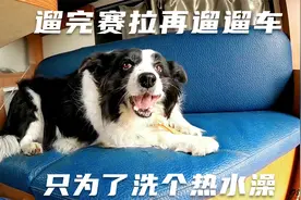 房车自驾西藏，柴暖坏了，遛完赛拉再遛遛车，只是为了洗个热水澡视频封面